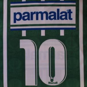 Palmeiras retrô 1993